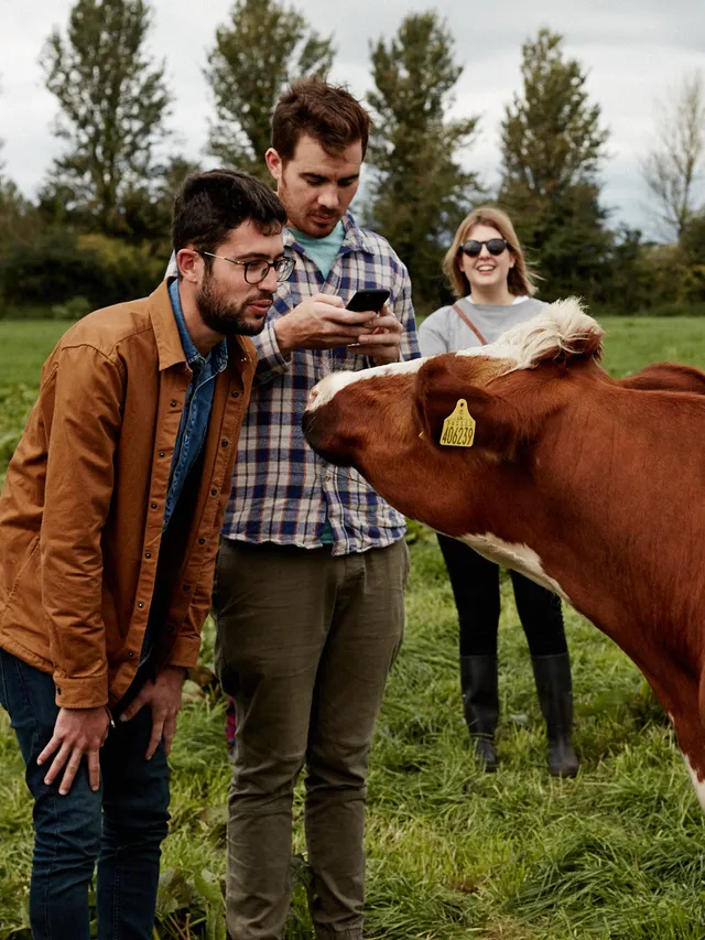 Quicke's Cheese Tour bon cadeau visite fromagerie 1 personne