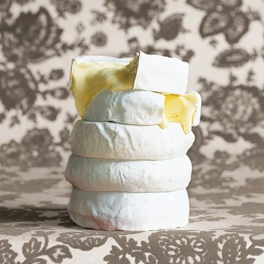The Fine Cheese Co. Artisan Cheeses Waterloo fromage vache crémeux