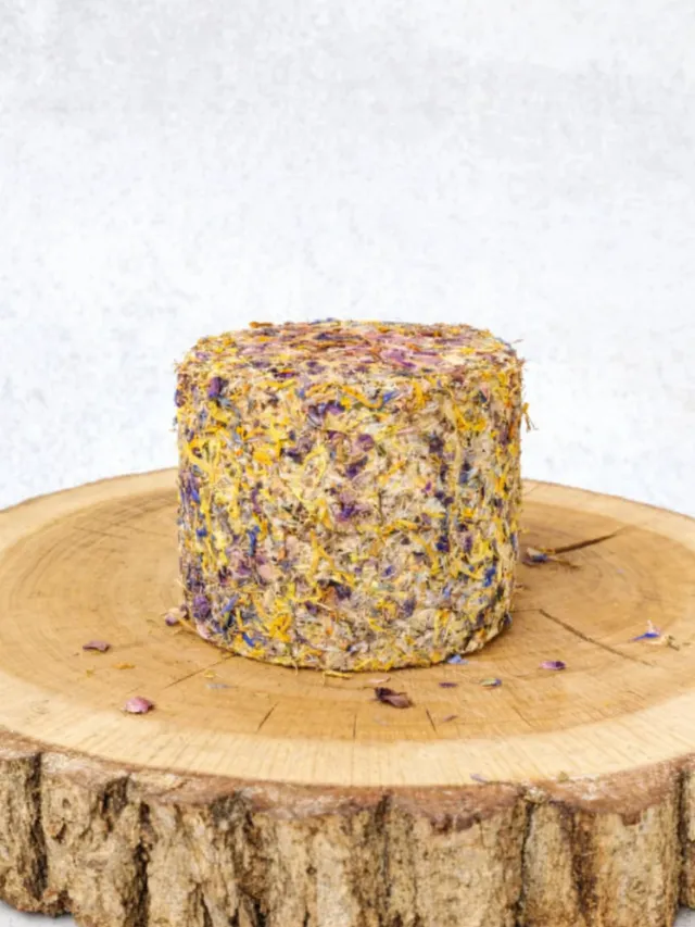 Quicke's Guest Cheeses Baby Alp Blossom fromage fleurs 1kg