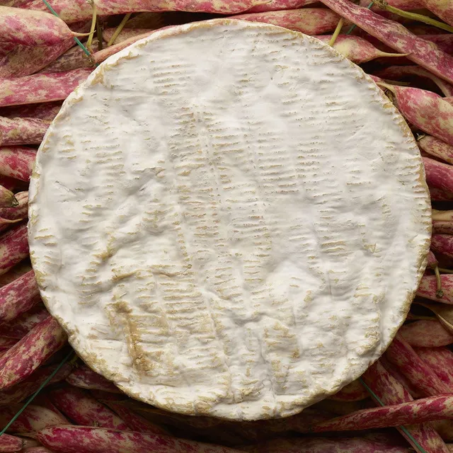 Baron Bigod Entier 1kg Fromage Vache Pâte Molle