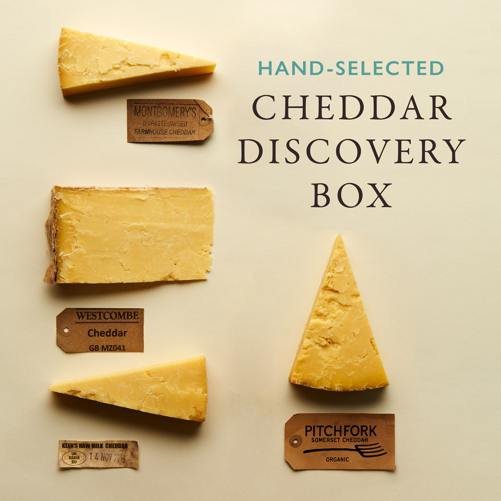 The Fine Cheese Co. Cheddar Discovery Box Coffret 5 Cheddars