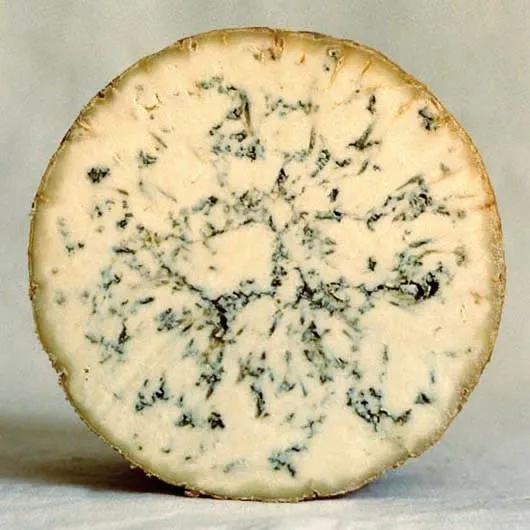 Cropwell Bishop Stilton bleu 500g lait de vache