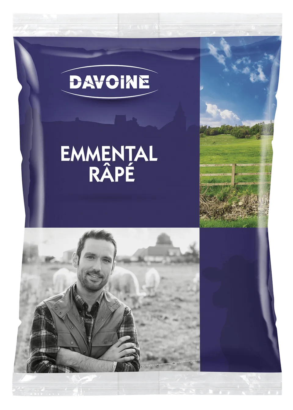 Tippagral Râpé Emmental Davoine fromage râpé
