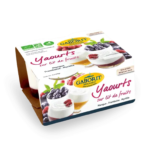 Maison Bernard Gaborit Yaourt Bio yaourt fruits 4 pots framboise mangue