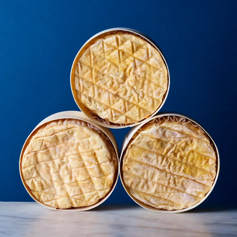 The Fine Cheese Co. Epoisses Gaugry fromage 250g lait cru lavé