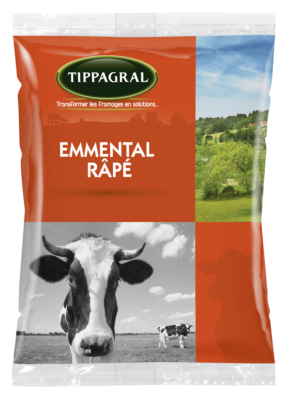 Tippagral Râpé Emmental fromage râpé lait de vache
