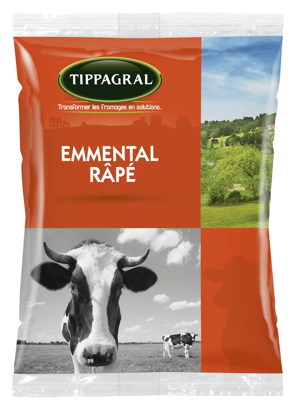 Tippagral Râpé Emmental fromage râpé lait de vache