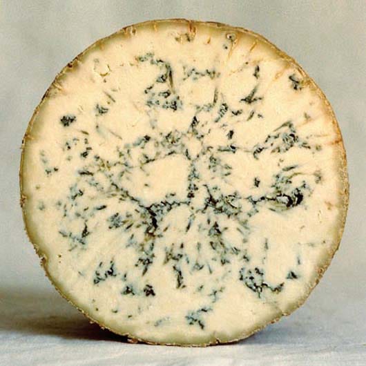 Cropwell Bishop Stilton bleu 500g lait de vache